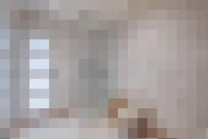 Volder 33 Hoorn thumbnail 10