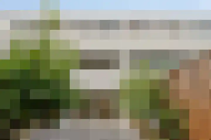 Volder 33 Hoorn thumbnail 13