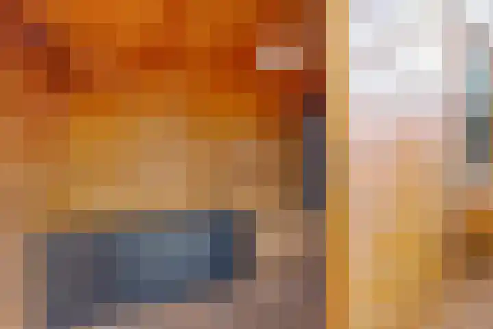 Volder 33 Hoorn thumbnail 15