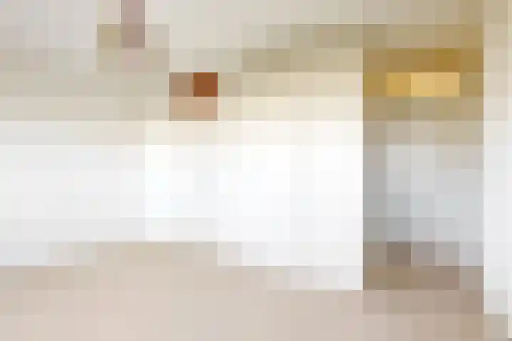 Volder 58 Hoorn thumbnail 13
