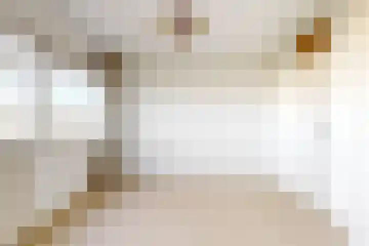 Volder 58 Hoorn thumbnail 15
