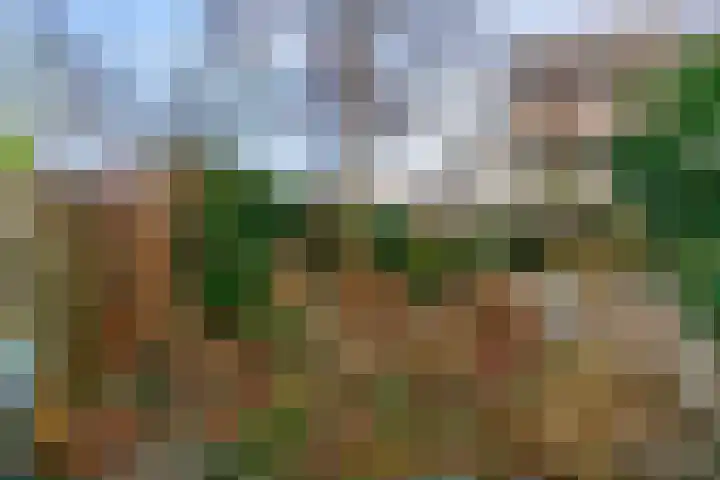 Volder 58 Hoorn thumbnail 25