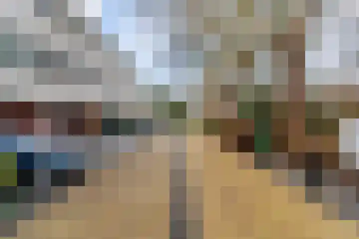 Volder 58 Hoorn thumbnail 31