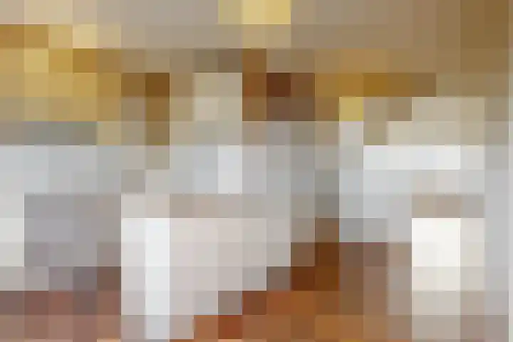 Volder 58 Hoorn thumbnail 5