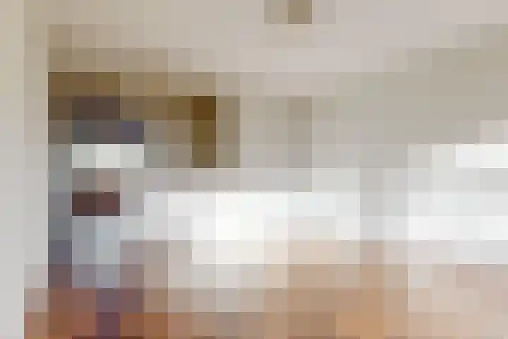 Volder 58 Hoorn thumbnail 7