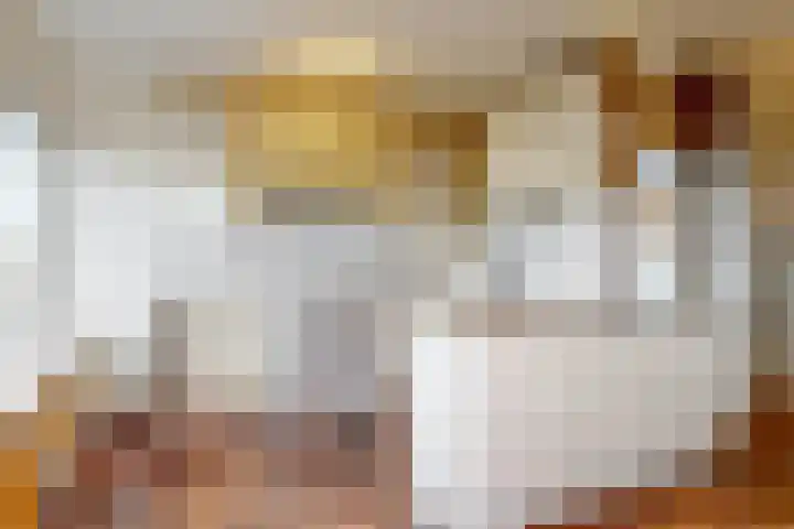 Volder 58 Hoorn thumbnail 9