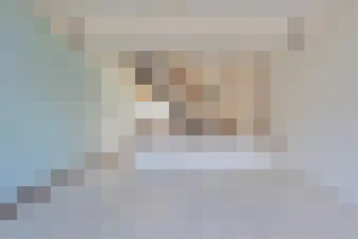 Volder 6 Hoorn thumbnail 14