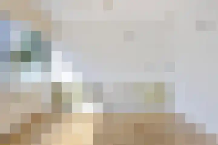 Volder 6 Hoorn thumbnail 16