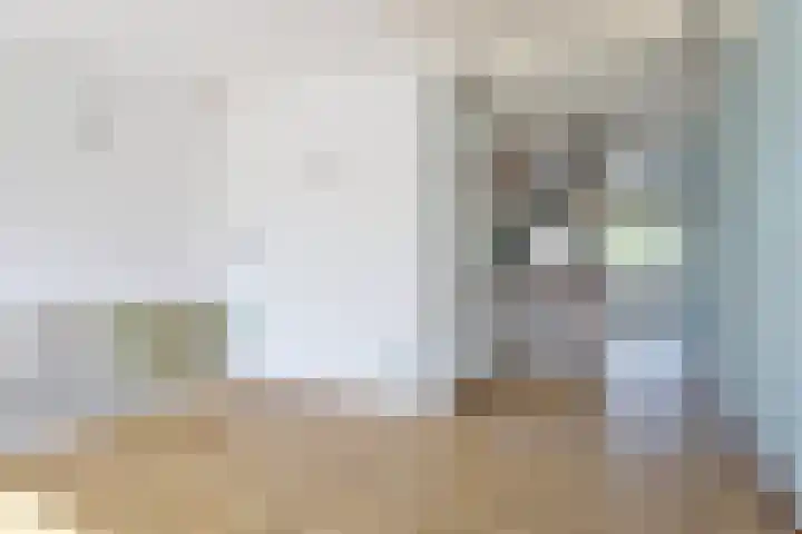 Volder 6 Hoorn thumbnail 17