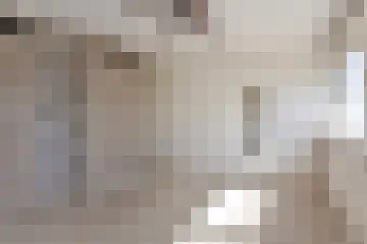 Volder 6 Hoorn thumbnail 20