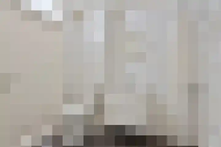 Volder 6 Hoorn thumbnail 21