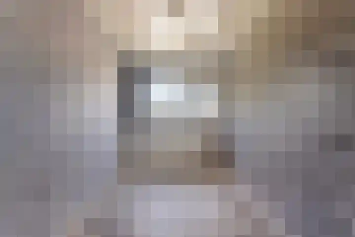 Volder 6 Hoorn thumbnail 25