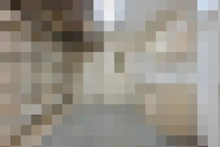 Volder 6 Hoorn thumbnail 27