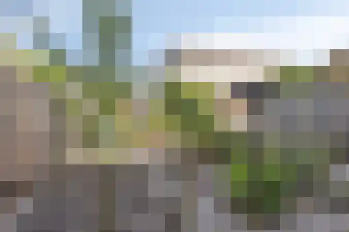 Volder 6 Hoorn thumbnail 29