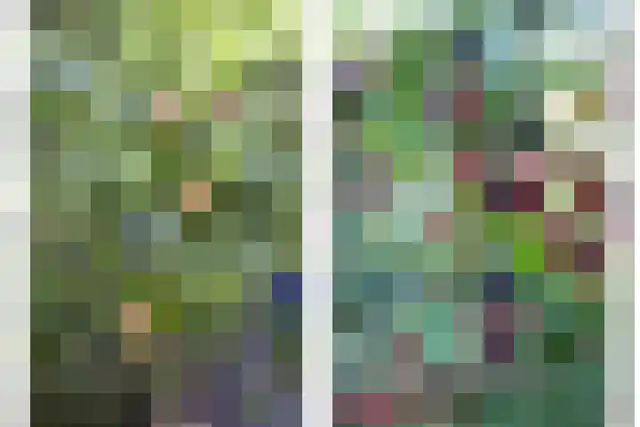 Volder 6 Hoorn thumbnail 30