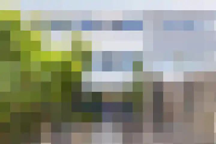 Volder 6 Hoorn thumbnail 31