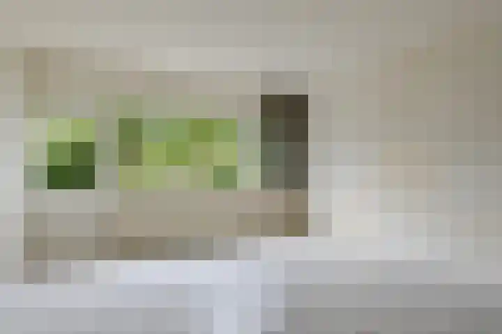Volder 66 Hoorn thumbnail 12
