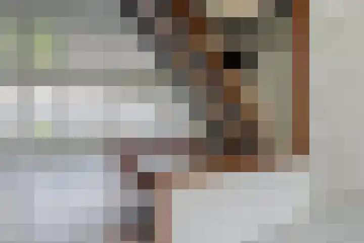 Volder 66 Hoorn thumbnail 14