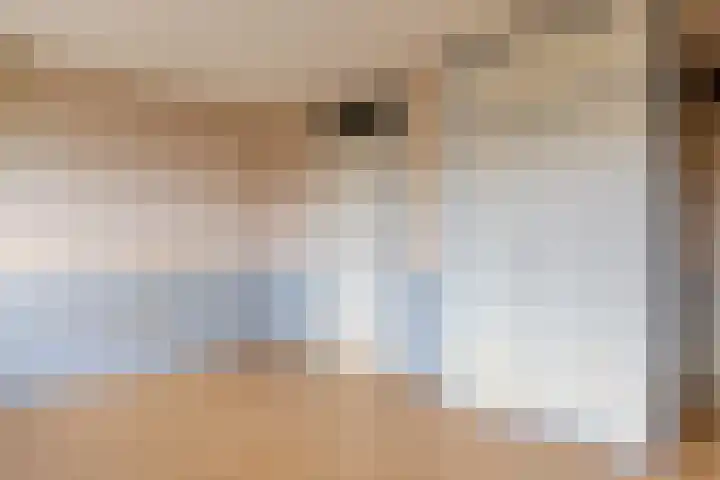 Volder 66 Hoorn thumbnail 22
