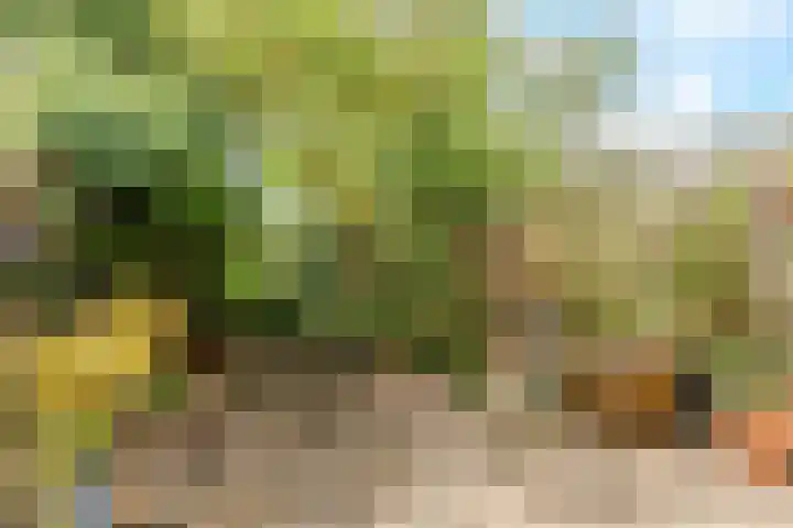 Volder 66 Hoorn thumbnail 31