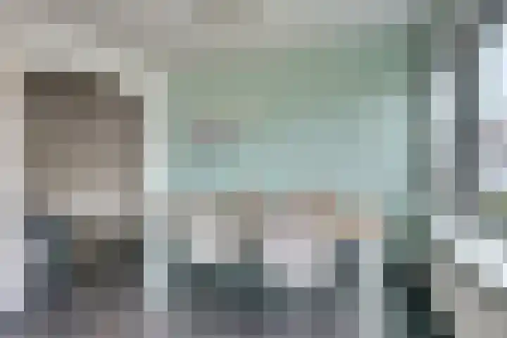 Volder 75 Hoorn thumbnail 11