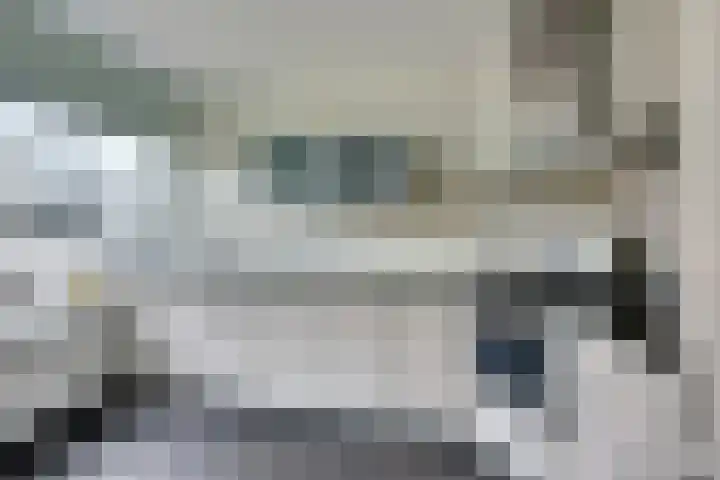 Volder 75 Hoorn thumbnail 12