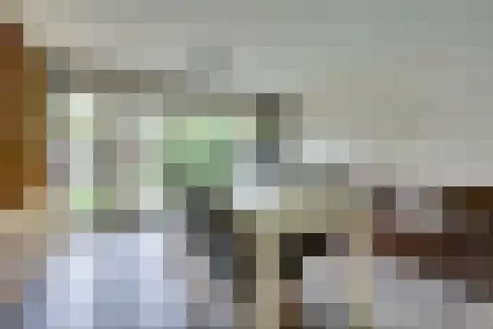 Volder 75 Hoorn thumbnail 14