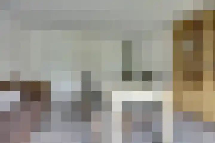 Volder 75 Hoorn thumbnail 15
