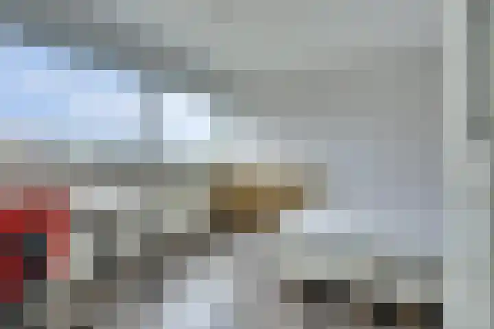 Volder 75 Hoorn thumbnail 21