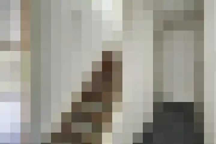 Volder 75 Hoorn thumbnail 28