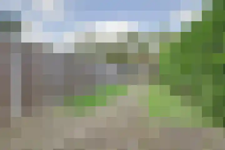 Volder 75 Hoorn thumbnail 30
