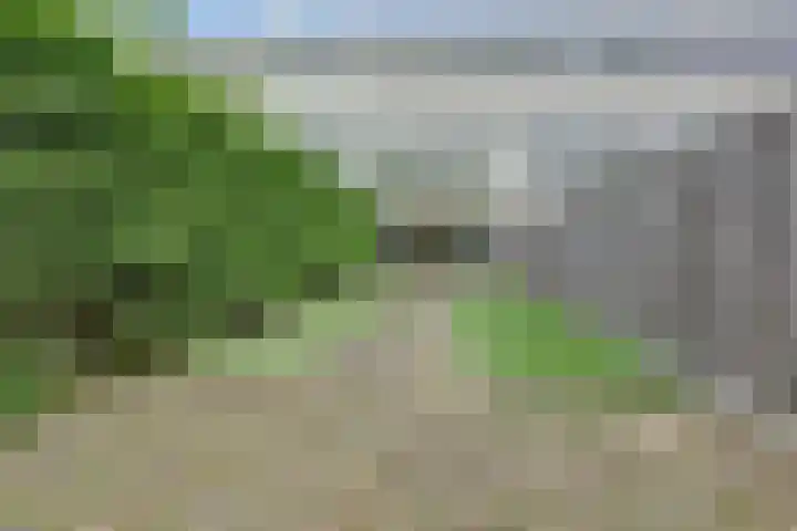 Volder 75 Hoorn thumbnail 31