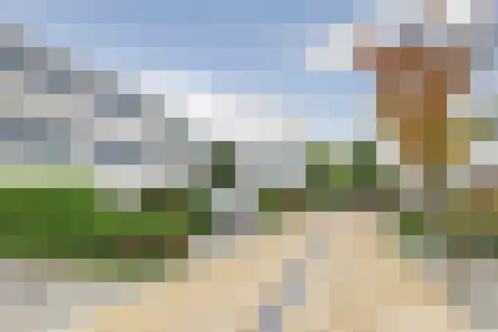 Volder 75 Hoorn thumbnail 4