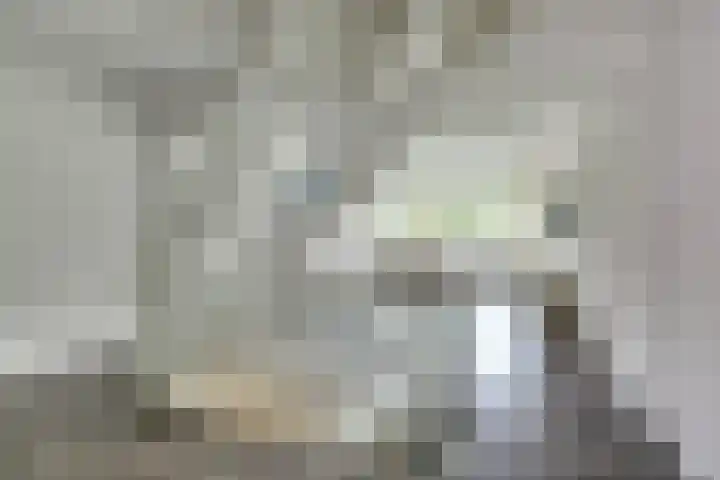 Volder 75 Hoorn thumbnail 6
