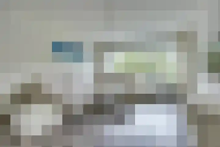 Volder 75 Hoorn thumbnail 8