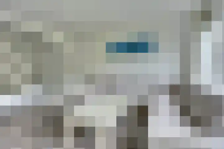 Volder 75 Hoorn thumbnail 9