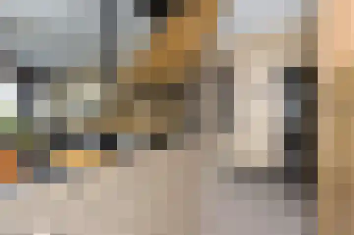 Volder 83 Hoorn thumbnail 26