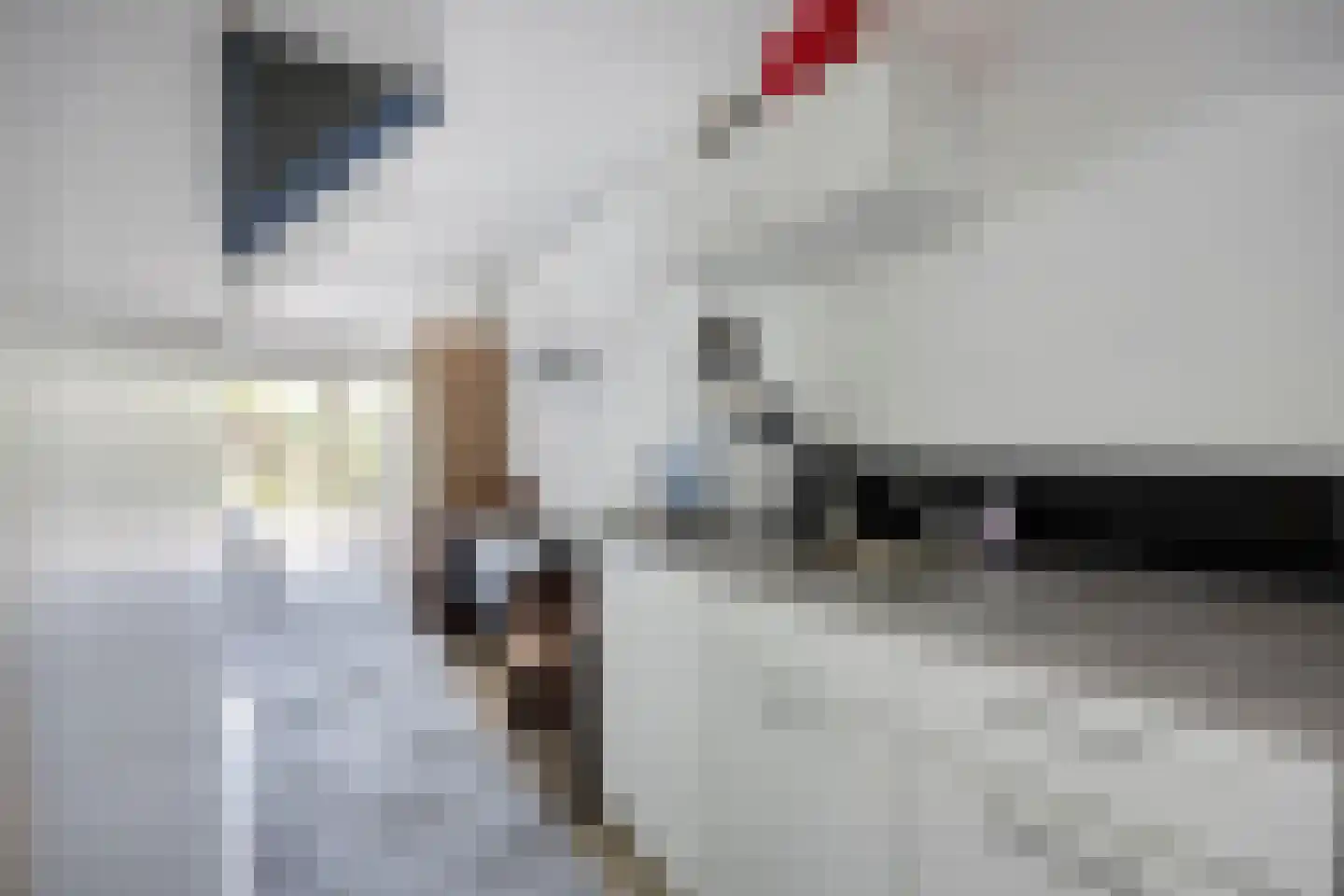 Volder 85 Hoorn thumbnail 10