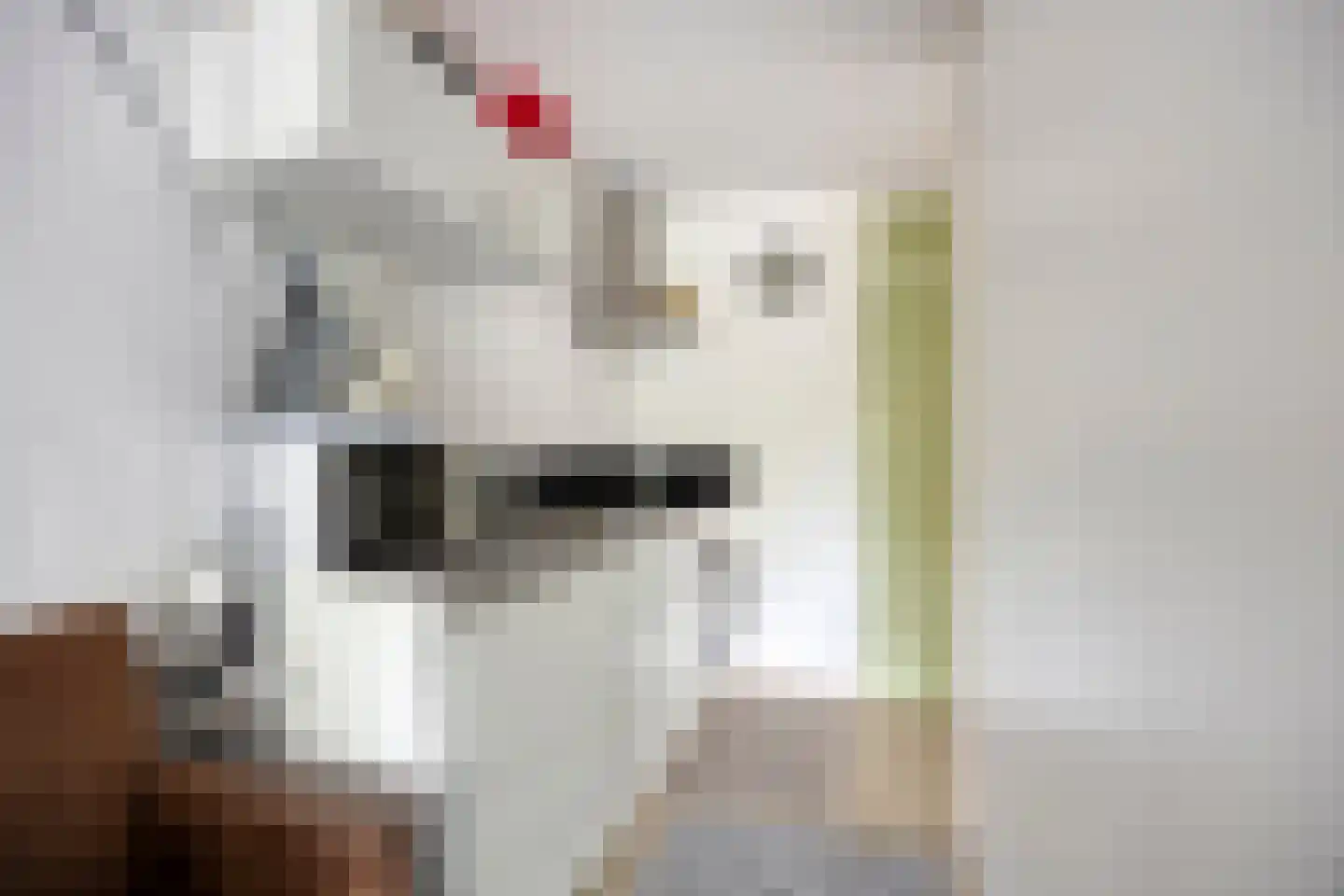 Volder 85 Hoorn thumbnail 13