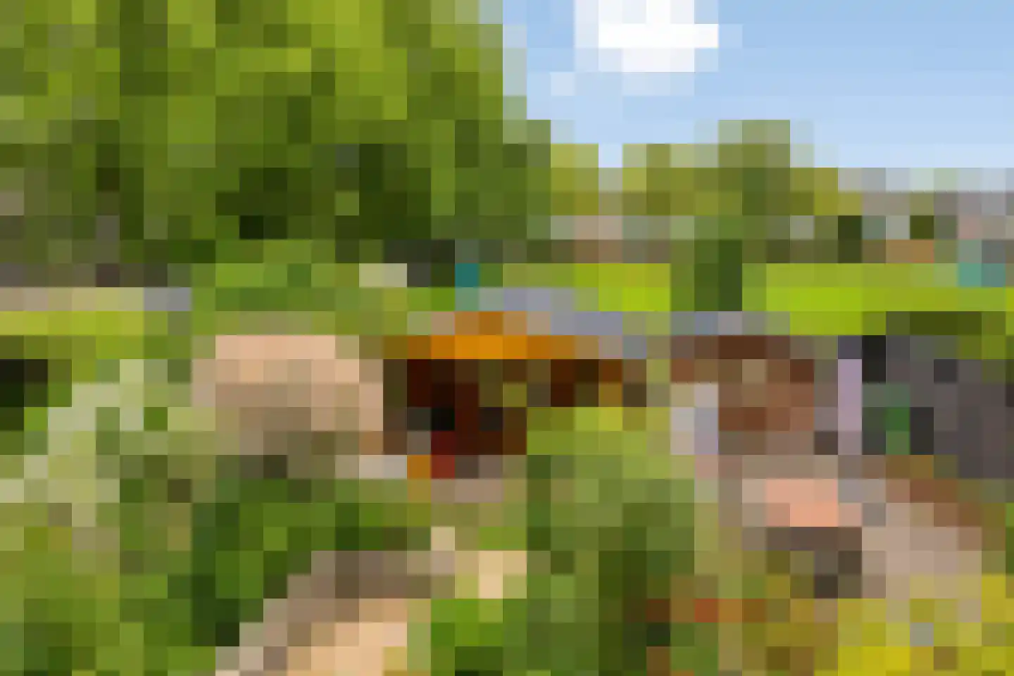 Volder 85 Hoorn thumbnail 27