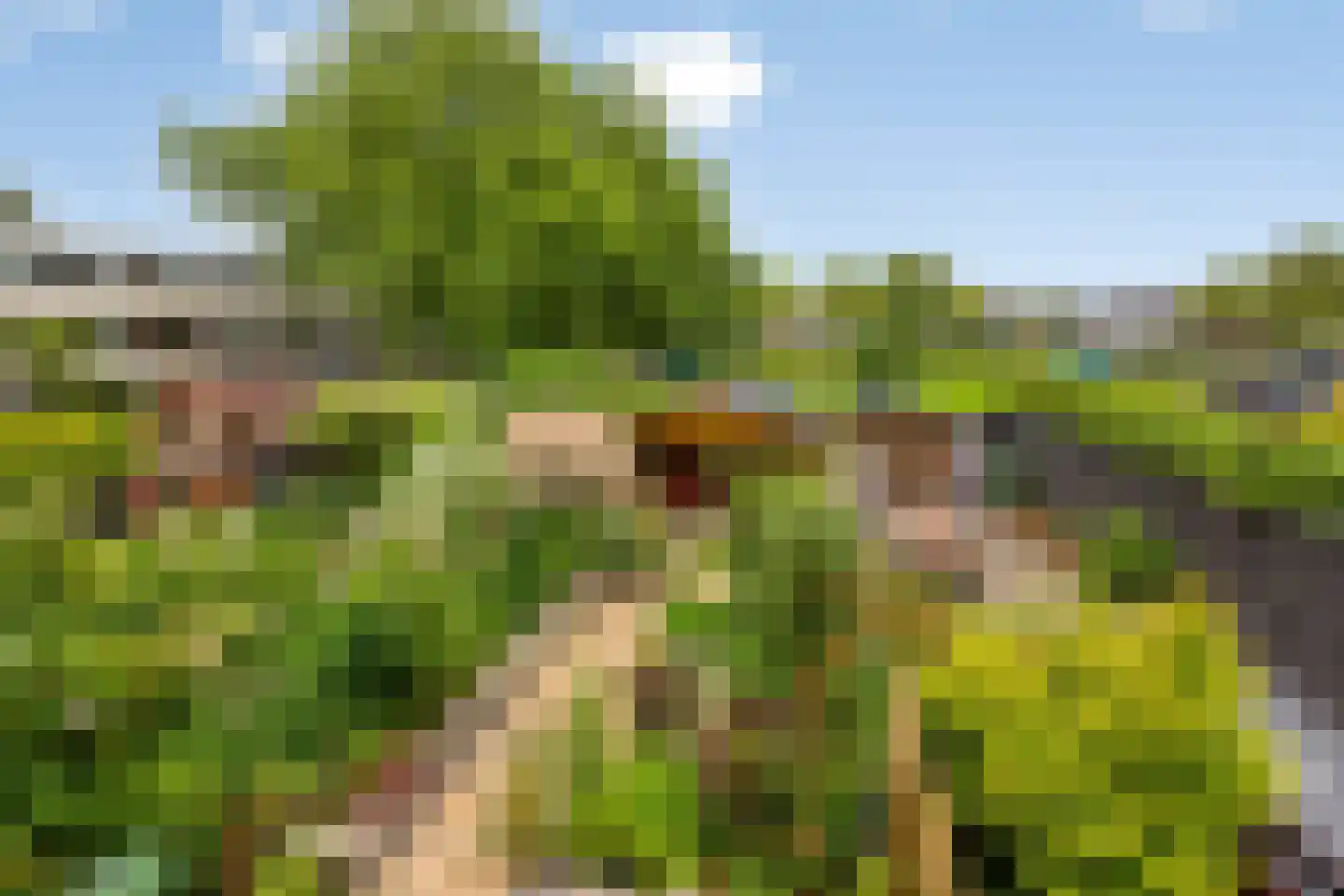 Volder 85 Hoorn thumbnail 28