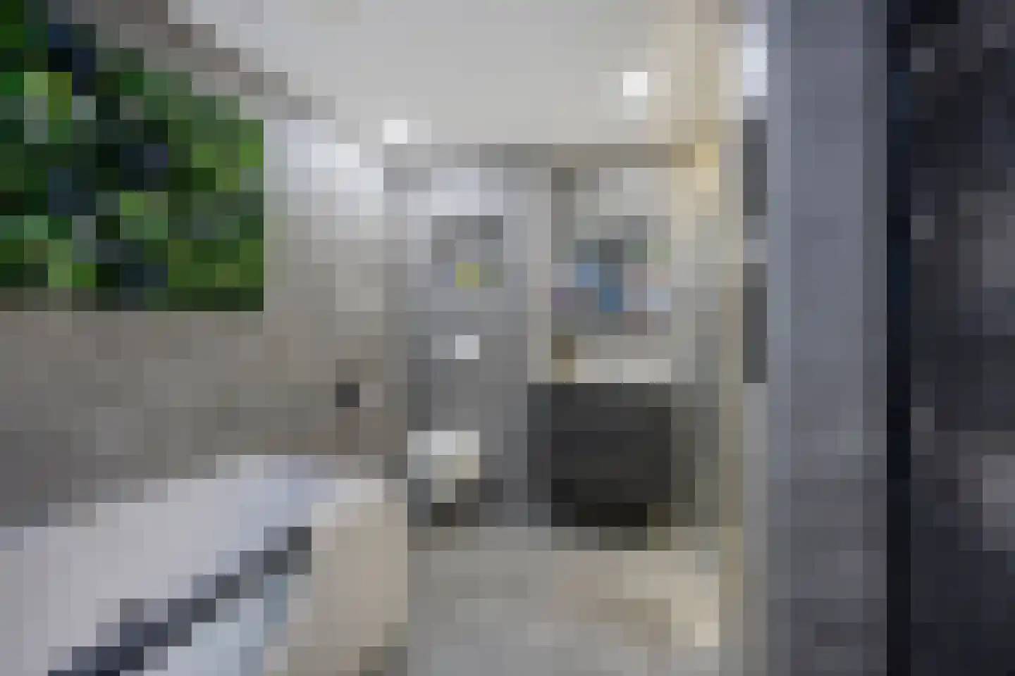 Volder 85 Hoorn thumbnail 4