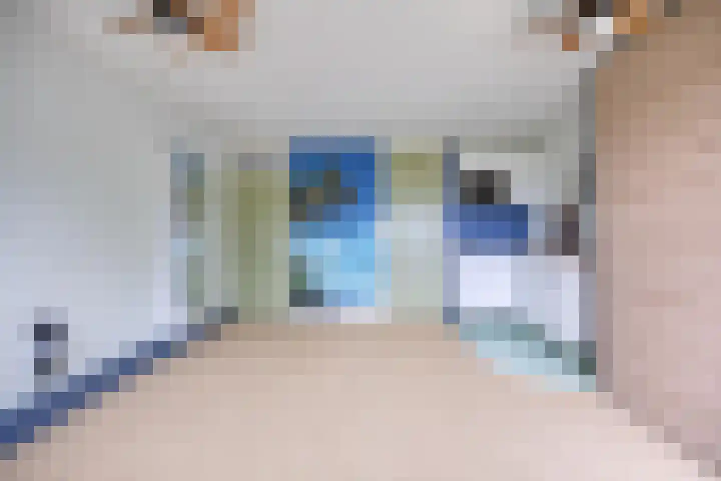 Volder 85 Hoorn thumbnail 5