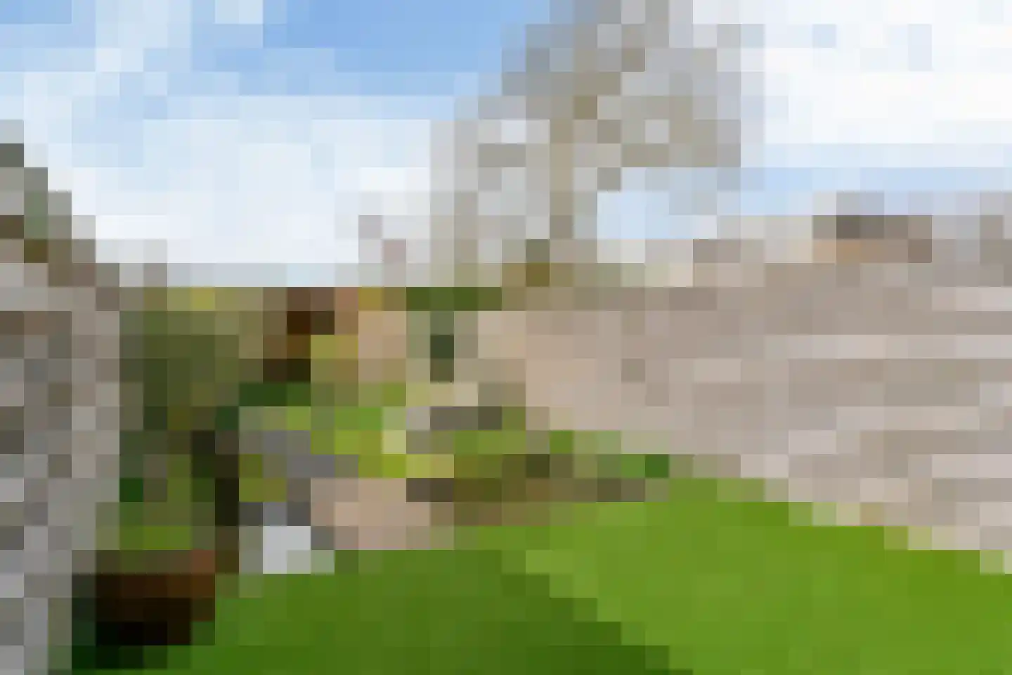 Volder 89 Hoorn thumbnail 13