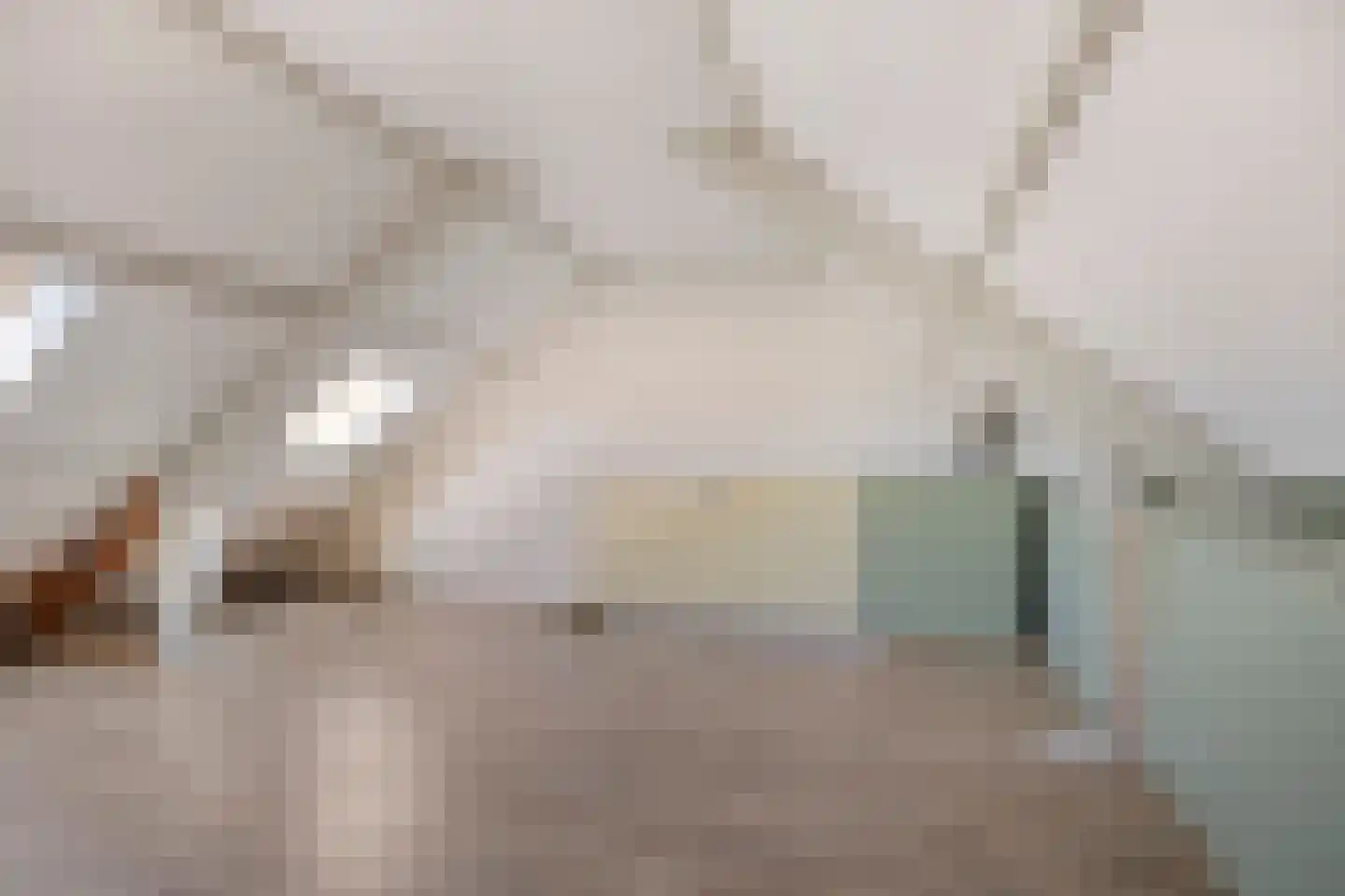 Volderhof 102 Helmond thumbnail 20