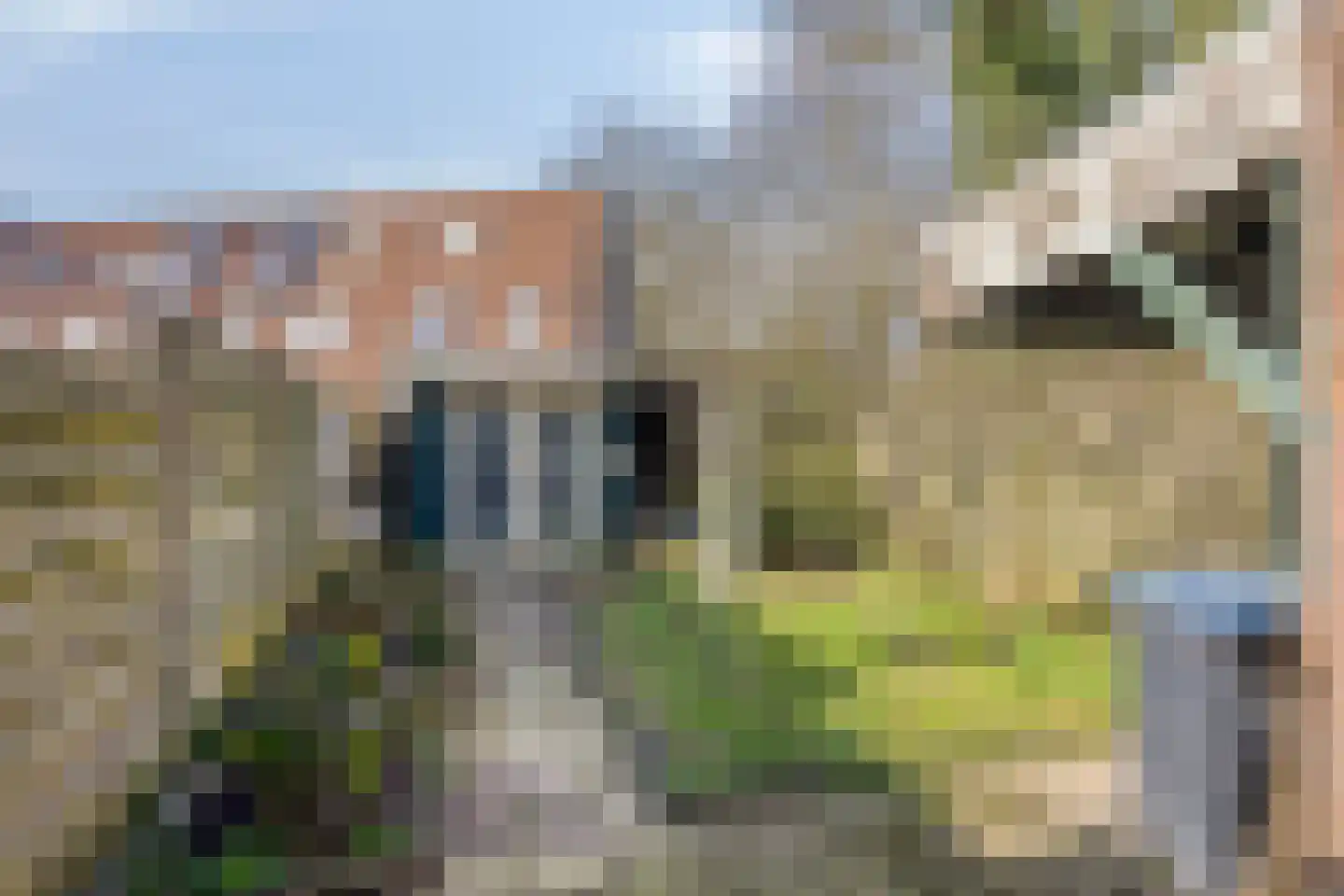 Volderhof 102 Helmond thumbnail 22