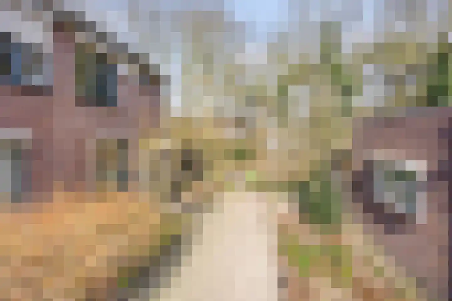 Volderhof 102 Helmond thumbnail 29