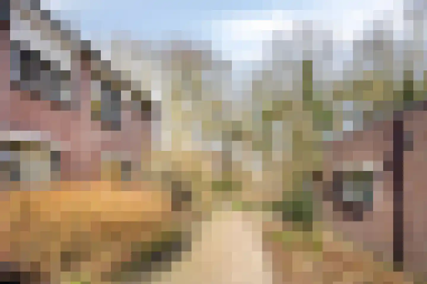 Volderhof 102 Helmond thumbnail 30