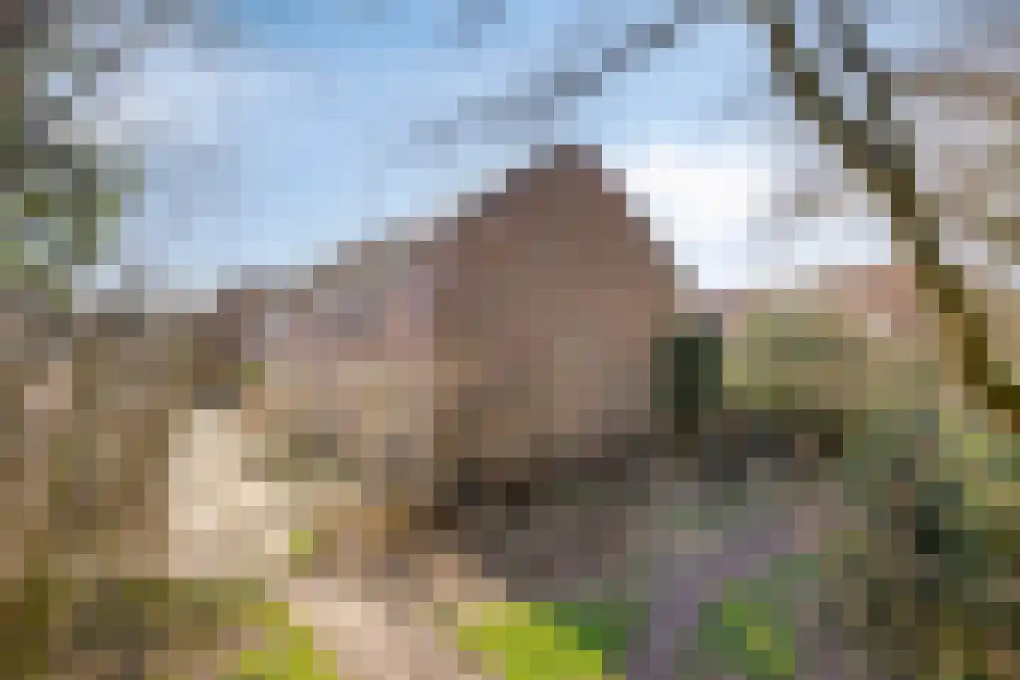 Volderhof 102 Helmond thumbnail 31