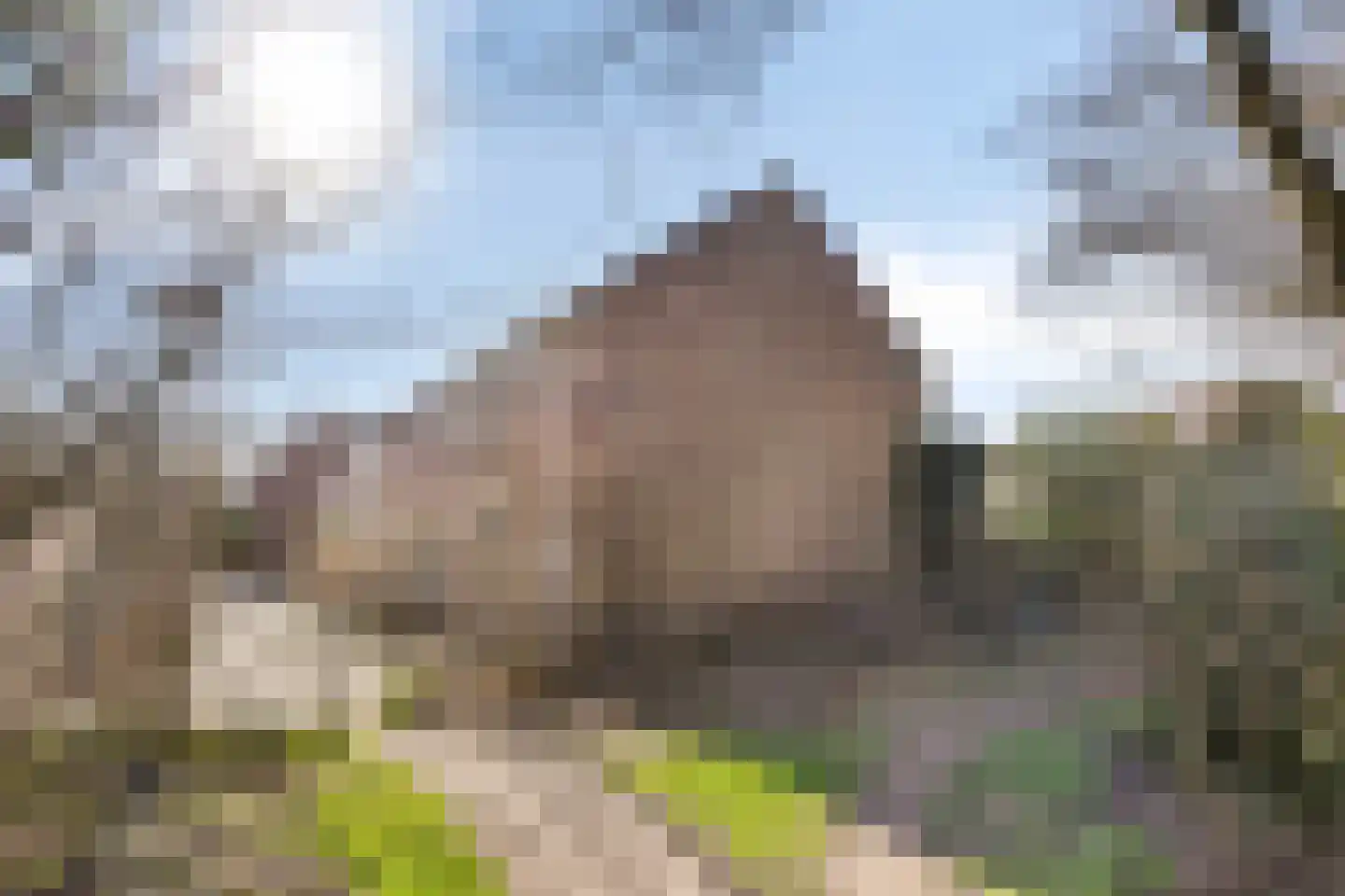 Volderhof 102 Helmond thumbnail 32
